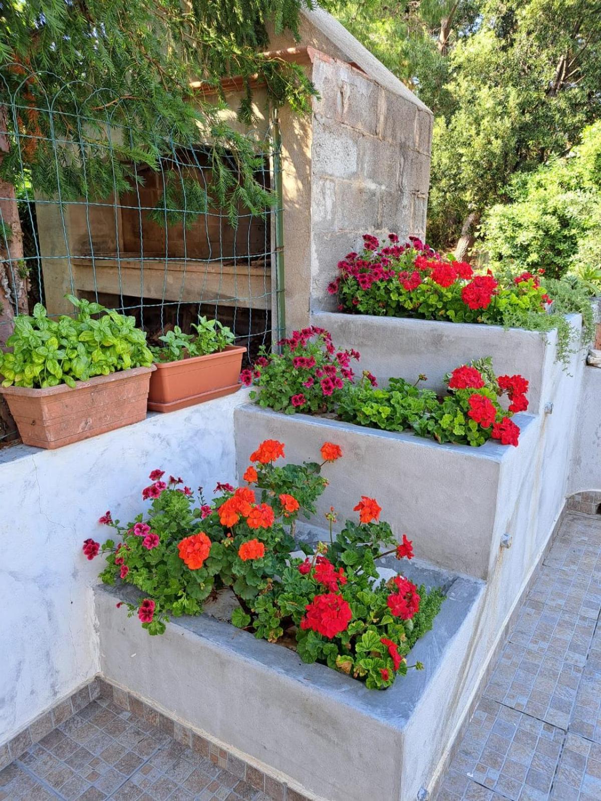 Domus De Mare Apartment Кала Гононе Екстериор снимка
